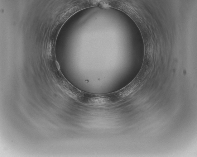 X0000060270219200511112055