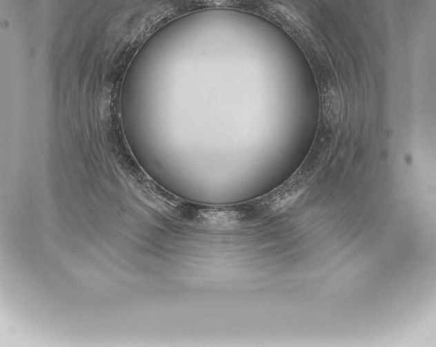 X0000060270221200511112055