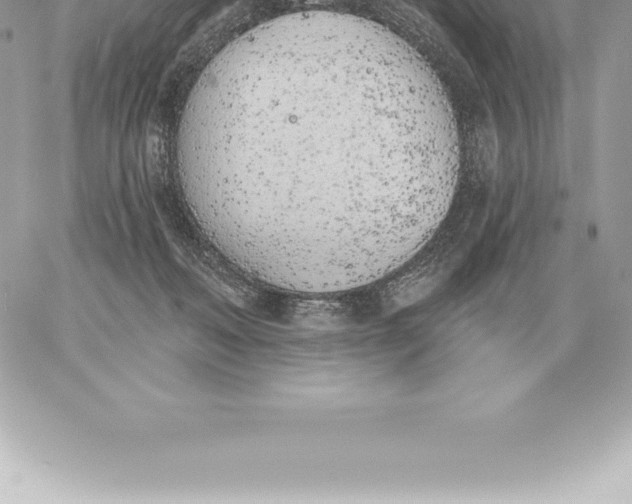 X0000060270222200511112055