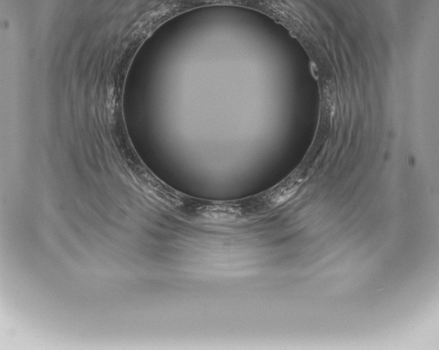 X0000060270223200511112055