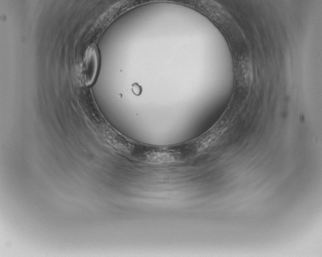 X0000060270224200511112055