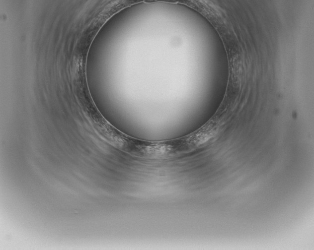 X0000060270225200511112055