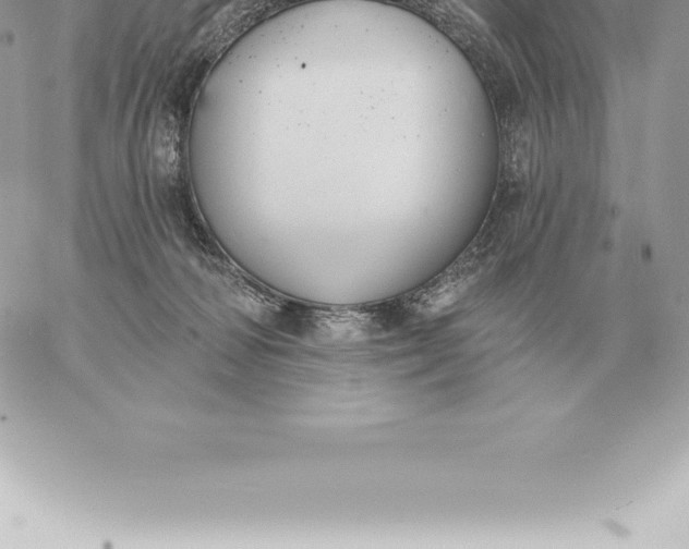 X0000060270226200511112055