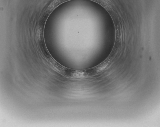 X0000060270227200511112055