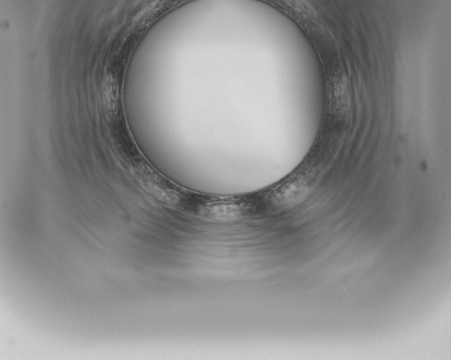 X0000060270228200511112055