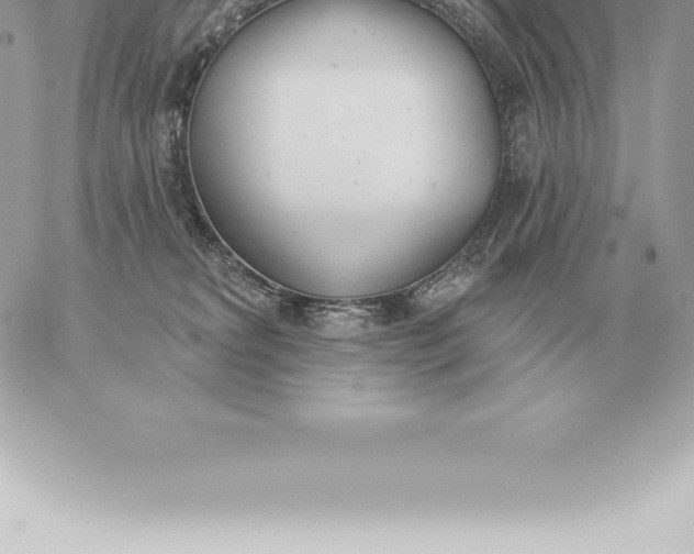 X0000060270229200511112055