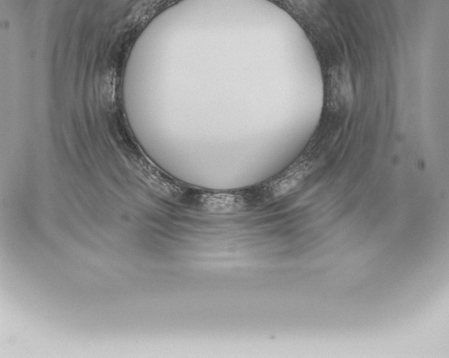 X0000060270230200511112055