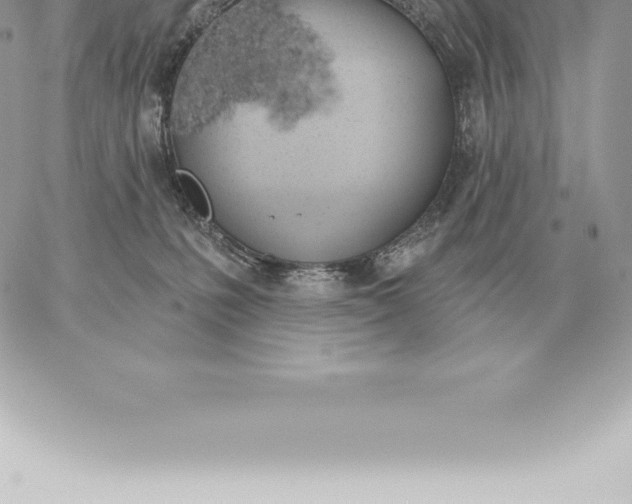 X0000060270231200511112055