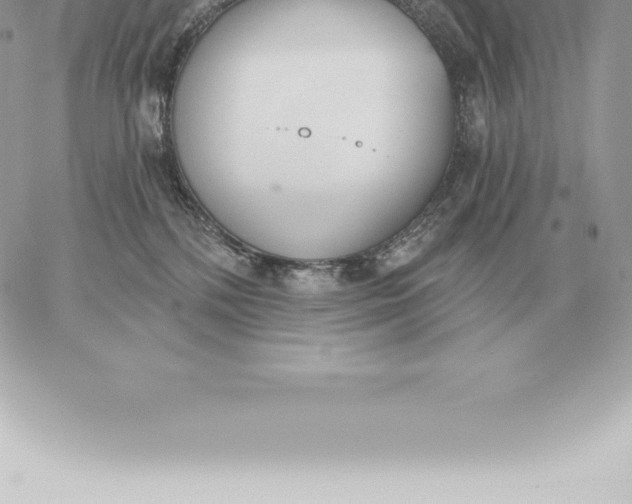 X0000060270232200511112055