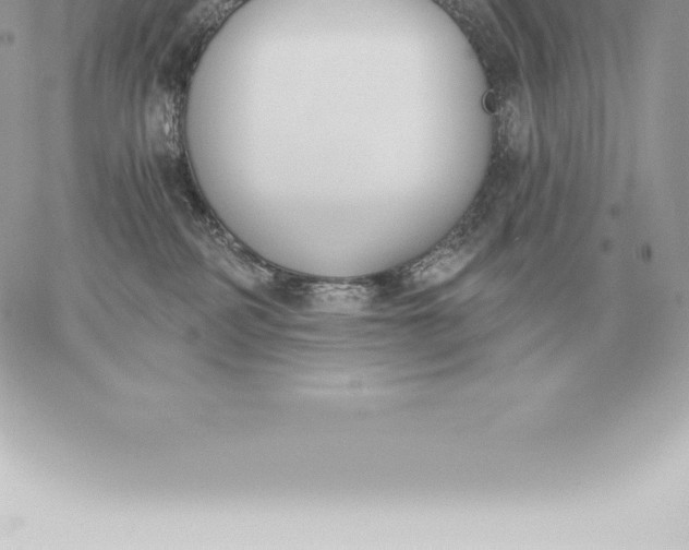 X0000060270234200511112055