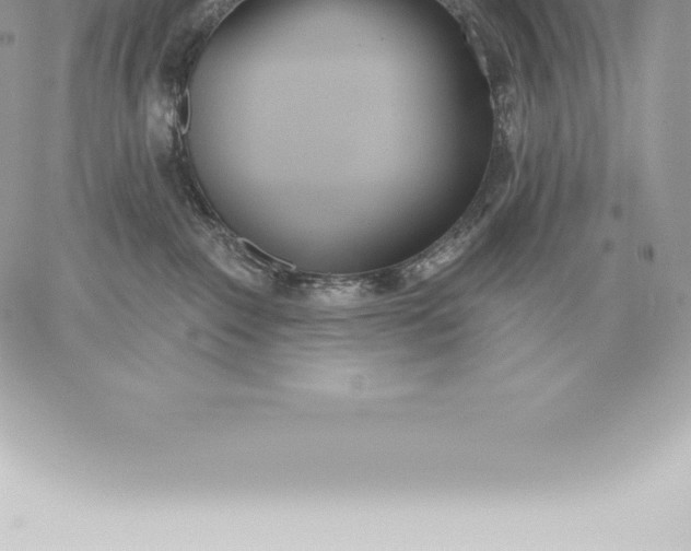 X0000060270235200511112055