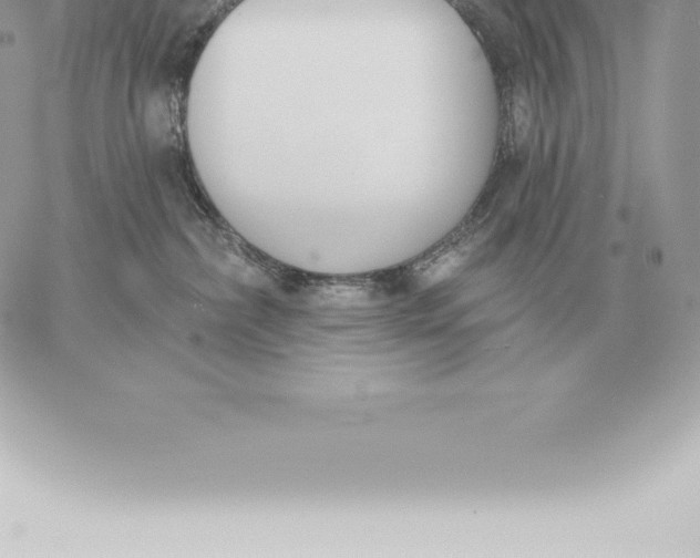 X0000060270236200511112055