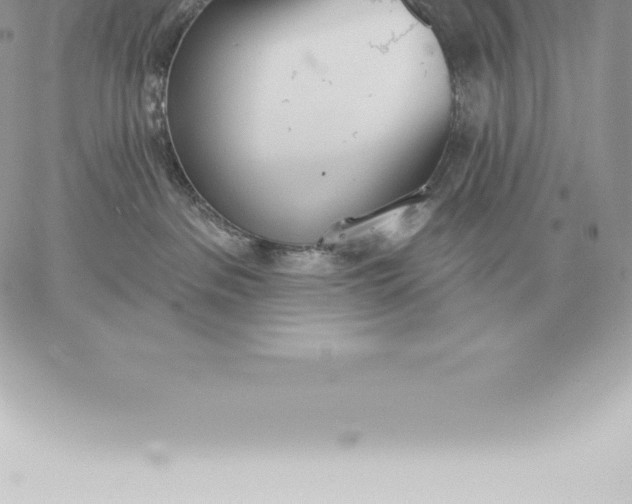 X0000060270237200511112055