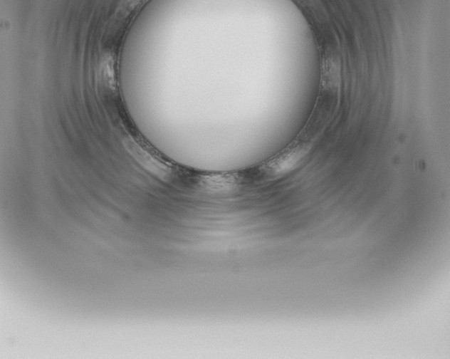 X0000060270238200511112055