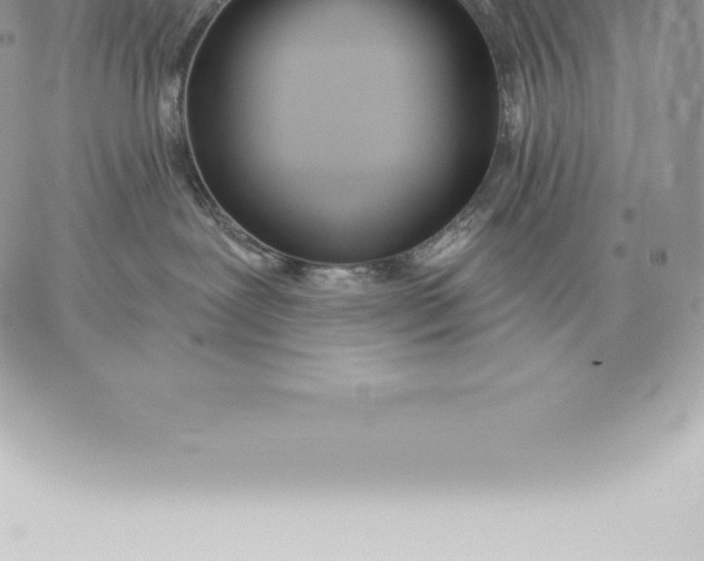 X0000060270239200511112055