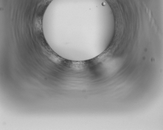 X0000060270240200511112055