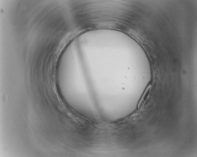 X0000060270241200511112054