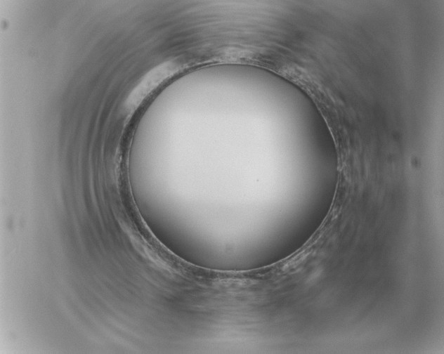 X0000060270242200511112054