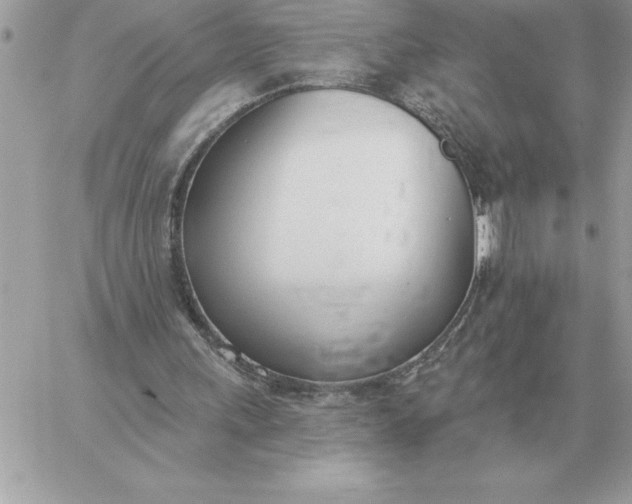 X0000060270243200511112054