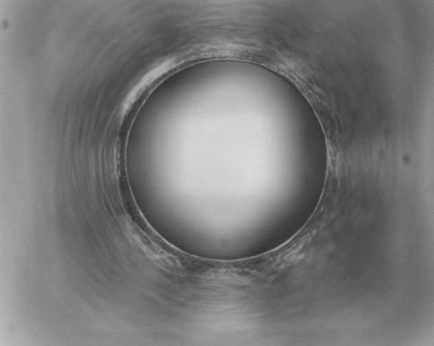 X0000060270244200511112054