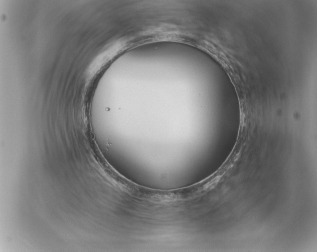 X0000060270245200511112054