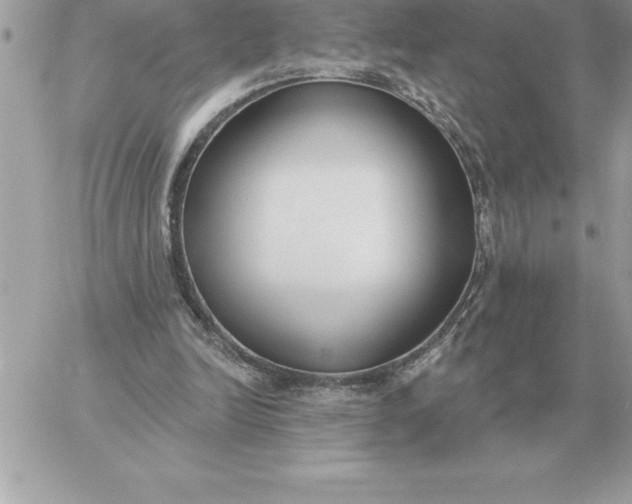 X0000060270246200511112054