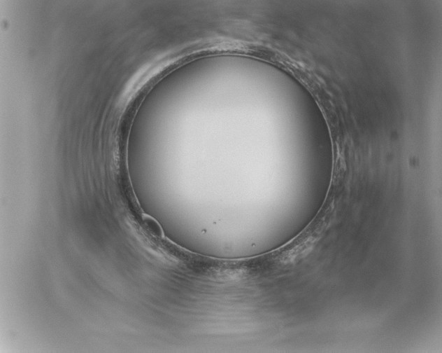 X0000060270247200511112054