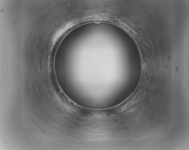 X0000060270248200511112054