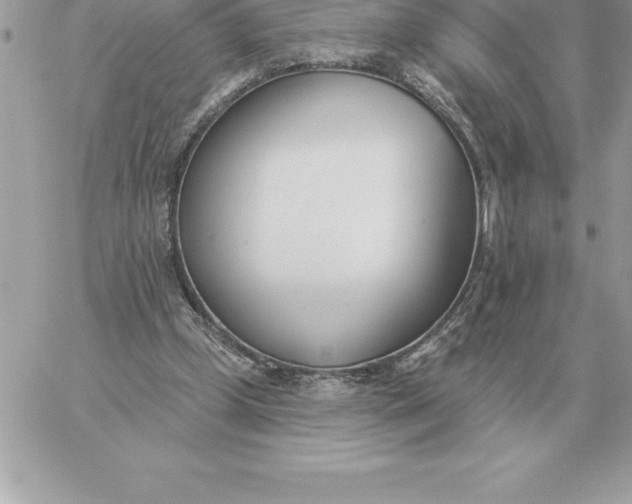 X0000060270249200511112054