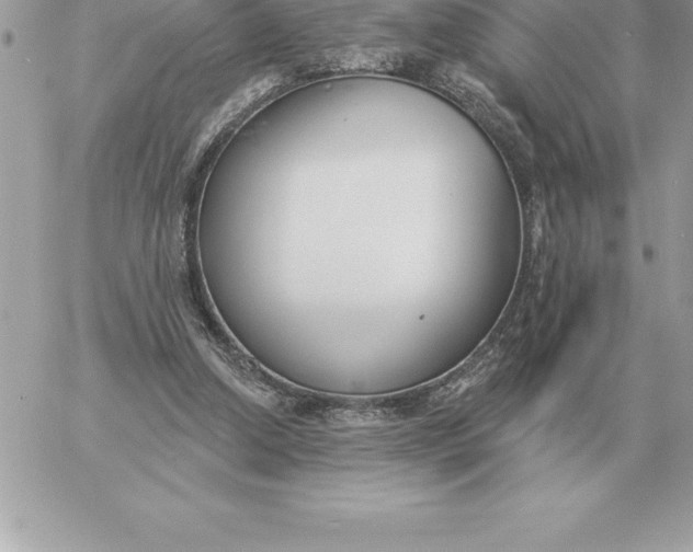 X0000060270250200511112054