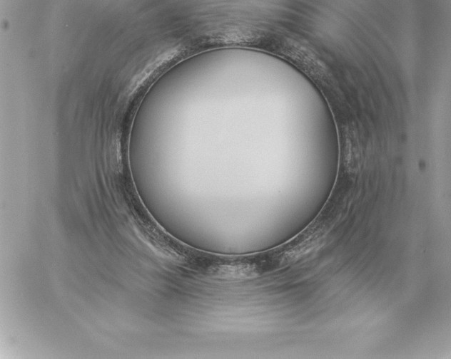 X0000060270251200511112054