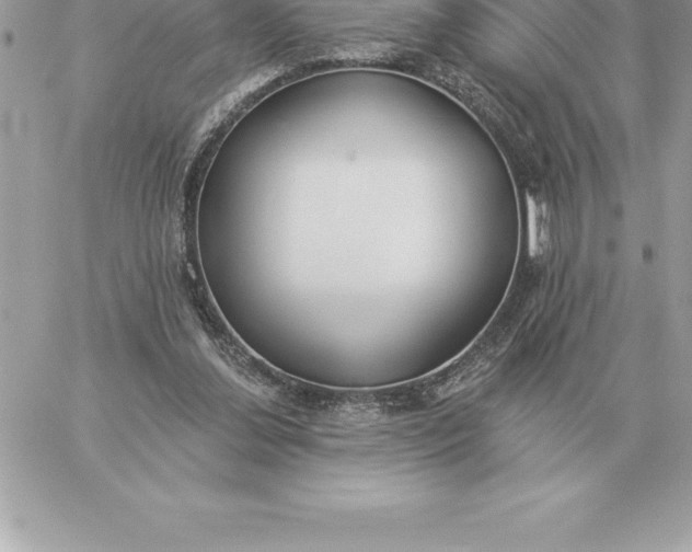 X0000060270252200511112054