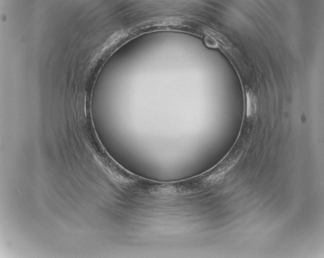 X0000060270253200511112054