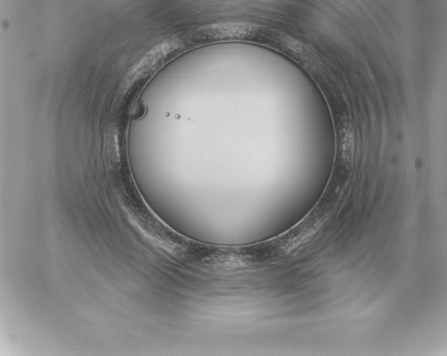 X0000060270254200511112054