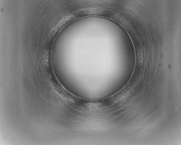 X0000060270255200511112054