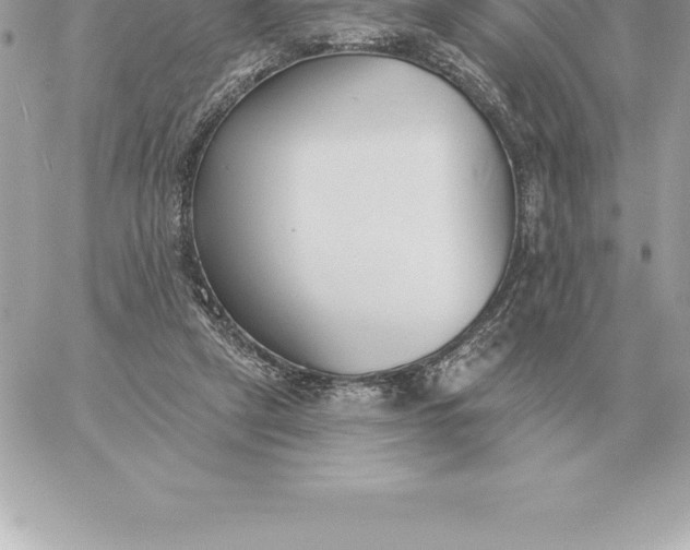 X0000060270257200511112054