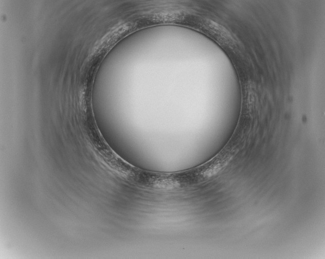 X0000060270258200511112054