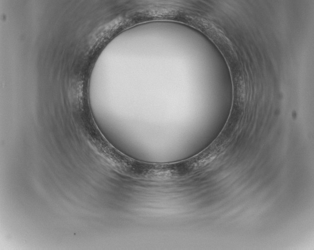 X0000060270260200511112054