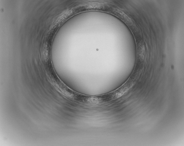 X0000060270261200511112054