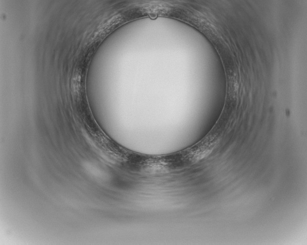 X0000060270263200511112054