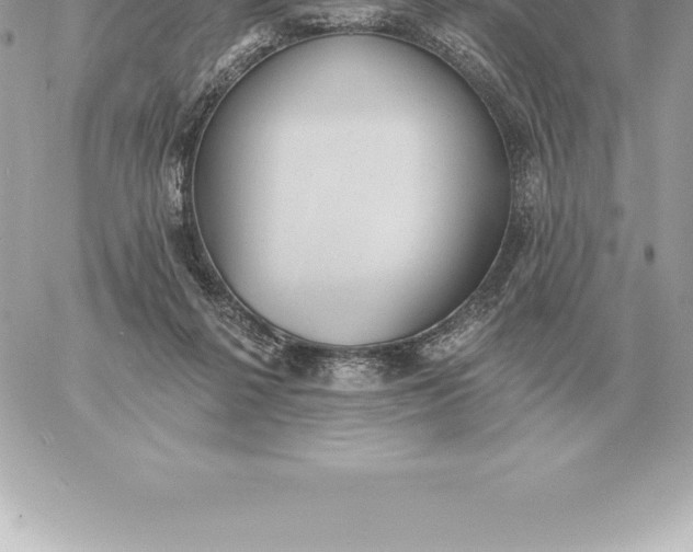 X0000060270264200511112054