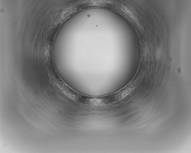 X0000060270265200511112054