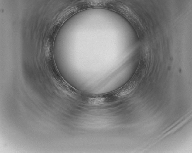 X0000060270266200511112054