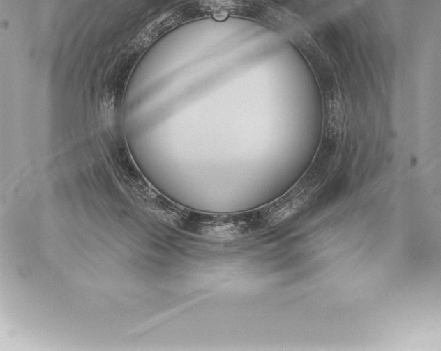 X0000060270267200511112054