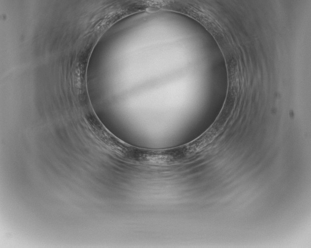 X0000060270268200511112054