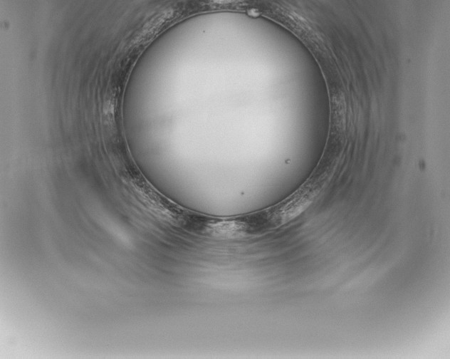 X0000060270269200511112054