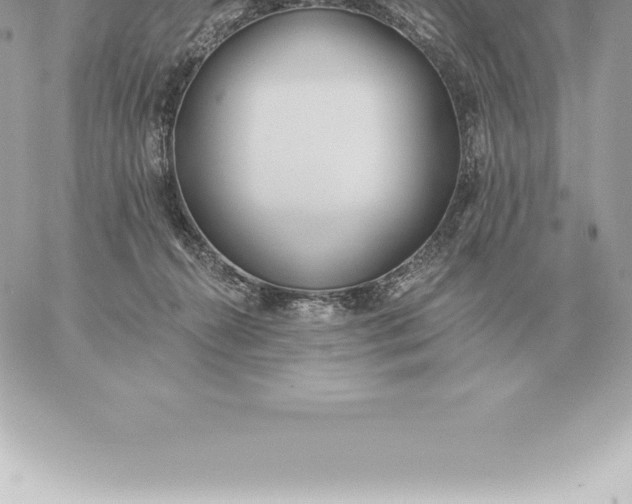 X0000060270272200511112055