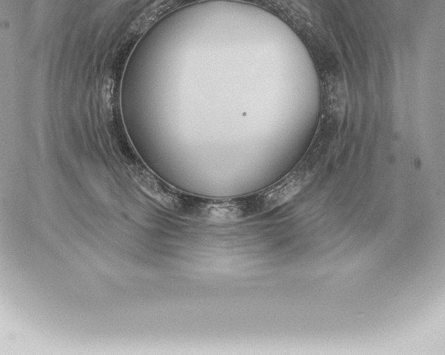 X0000060270275200511112055