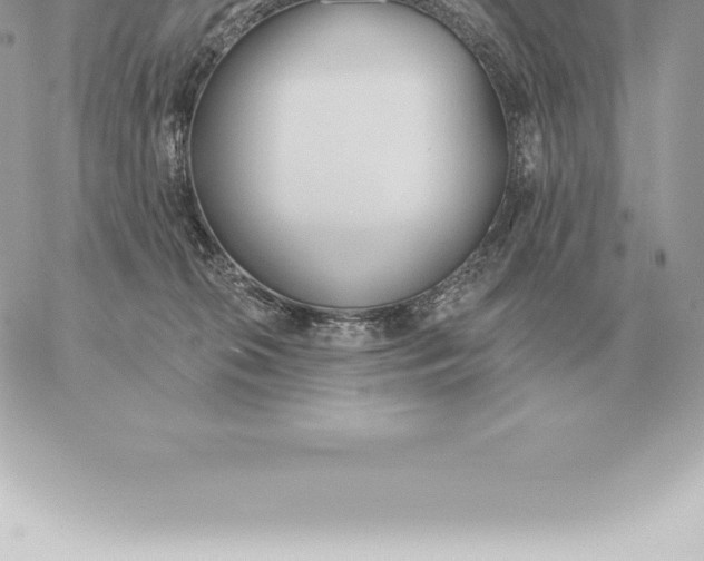 X0000060270276200511112055