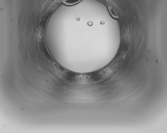 X0000060270277200511112055